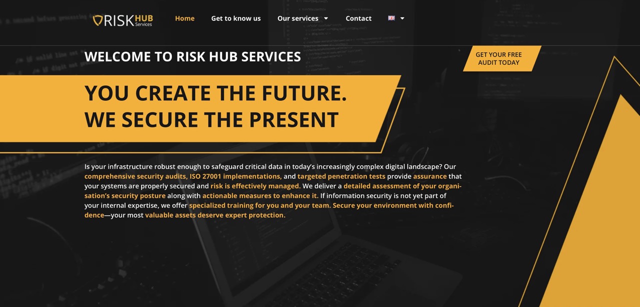 Screenshot of the RiskHub Services audit website